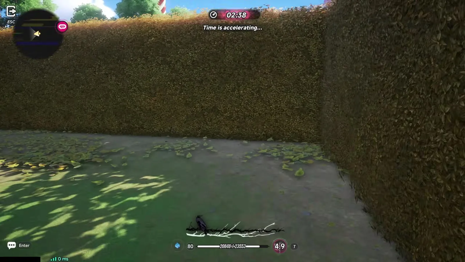 Inside the Flora Maze in NTE Pukaland, an autumn hedge corridor with the run timer at 02:38 and the warning “Time is accelerating…”