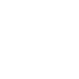 Raven, Sombra fugaz: icono de habilidad de NTE | Neverness to Everness