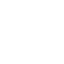 Oiseau noir, En plein vol : icône de passif NTE | Neverness to Everness