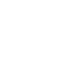 Mint A5 First Instinct — awakening node | Neverness to Everness (NTE)