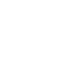 Mint A6 Elite Member — awakening node | Neverness to Everness (NTE)